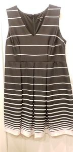 Lane Bryant Knee Length Dress